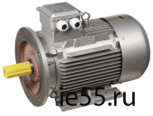 Эл.Двиг.3ф.АИР 160M4 660В 18,5кВт 1500об/мин 2081 DRIVE ИЭК